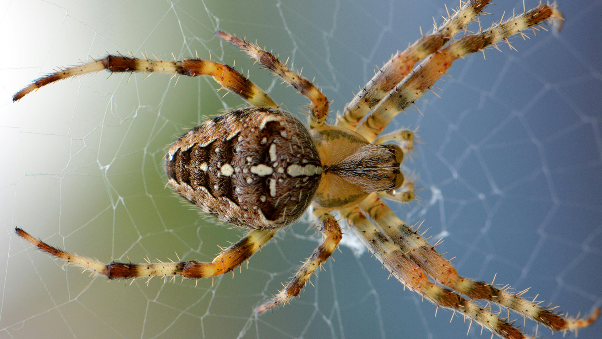 Hi5Ambacht_Herfst_08_Natuurpaspoort